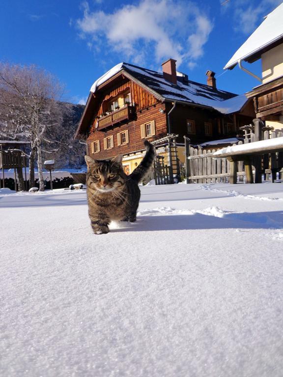 Gut Neusess Villa Mauterndorf  Buitenkant foto